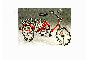 VASSILLI - 1092 BICICLETTA A TRE RUOTE VASSILLI - 1092 BICICLETTA A TRE RUOTE