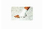 SILOPAD - S107 S/M - S107 L SILOPAD - S107 S/M - S107 L